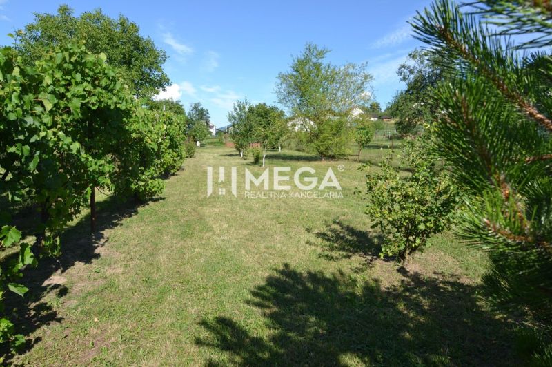 A garden with vineyards and fruit trees on the property of a family house in Hažín nad Cirochou.