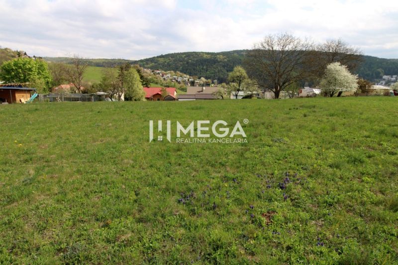Greenery on residential plots on Brestovska Street in Humenne with a view of the hills.