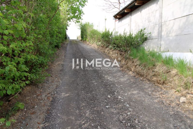 Access path through greenery to residential plots on Brestovska Street in Humenne.