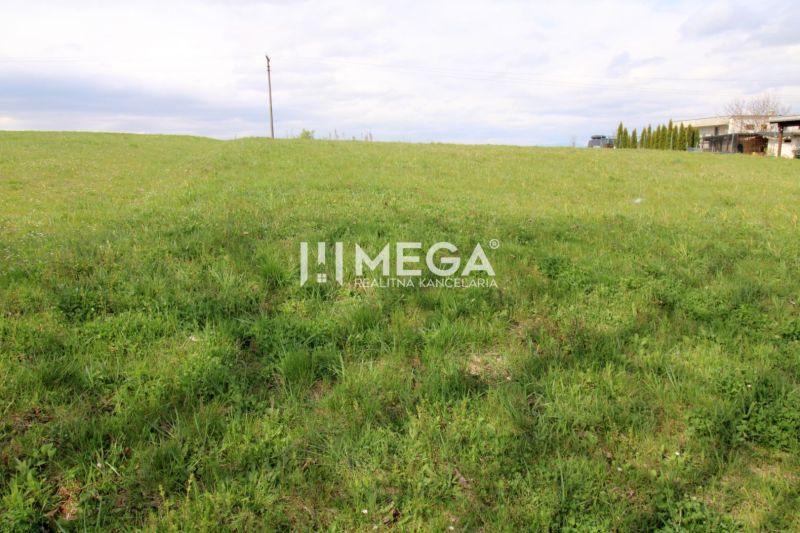 Greenery on the residential property on Brestovska Street in Humenne.