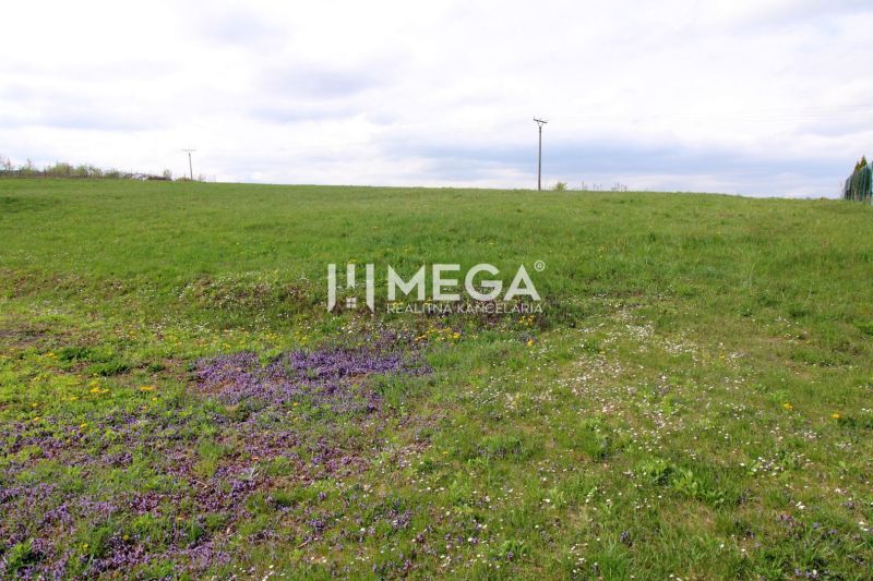 Land - residential on Brestovska Street in Humenne, green meadow with flowers and power lines.