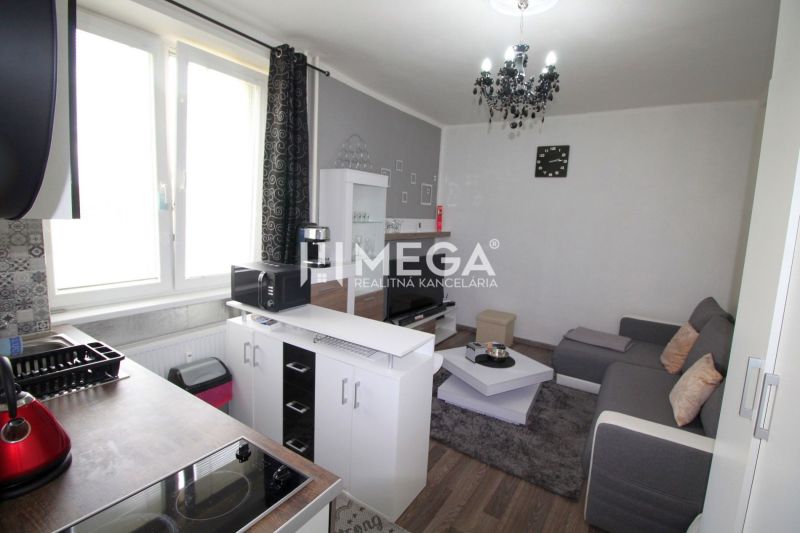 Living room with kitchen in a holiday apartment, wooden decor flooring, gray sofa.