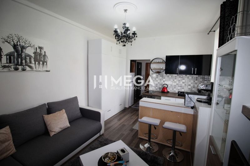 Recreational apartment kitchen with a counter, wooden decor flooring, and a gray sofa.