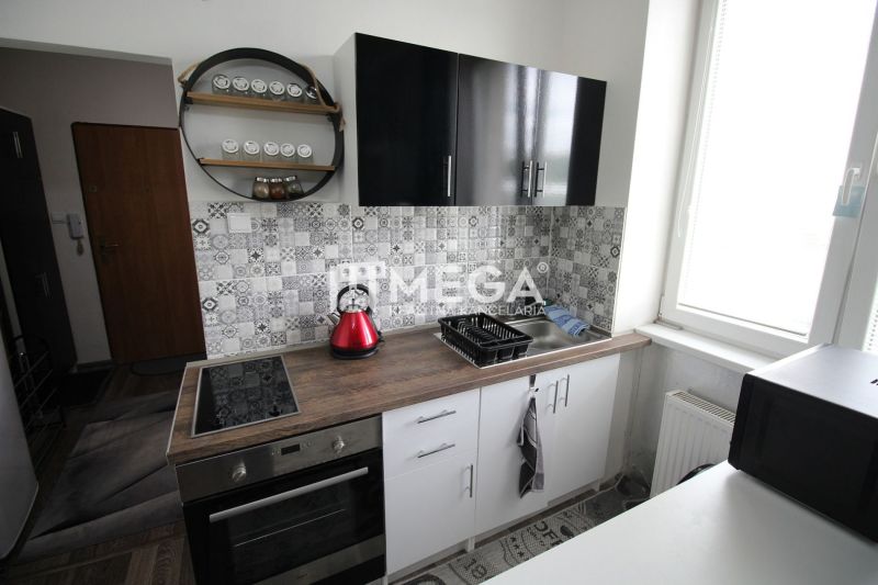 Recreational apartment kitchen with black cabinets, cooktop, and decorative tiles.