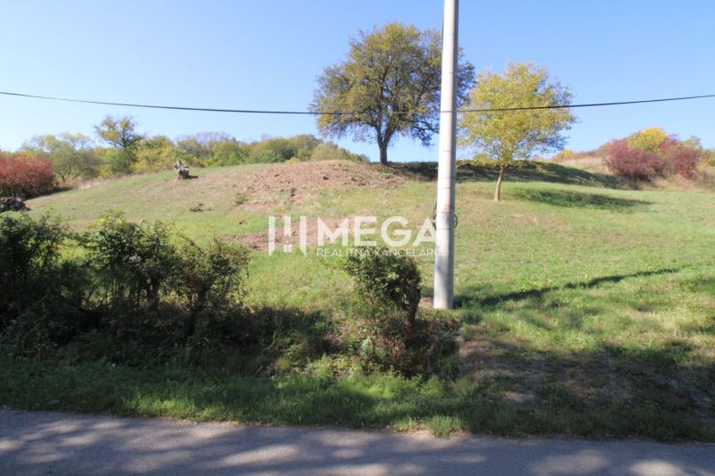 Greenery and a pole on the Property - housing in the Vyšné Ladičkovce area, Vyšné Ladičkovce street.