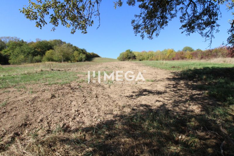 Grassland plots in the village of Vyšné Ladičkovce surrounded by trees, suitable for living.