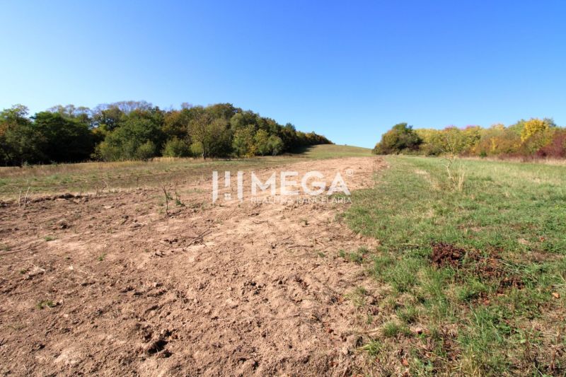 A plot for residential use near the forest in Vyšné Ladičkovce, surrounded by nature and blue skies.