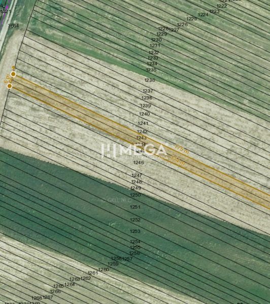 Aerial map of residential plots in Jasenov, with precise parcel boundaries.