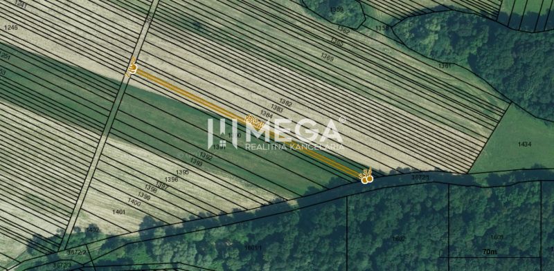 Cadastral map of residential plots in Jasenov surrounded by forest.
