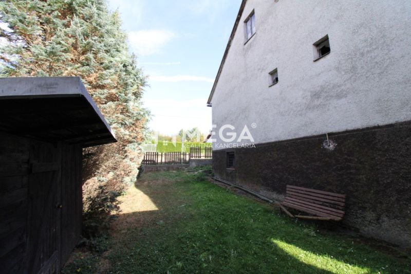 The garden at the family house on Volica Street in the town of Volica with a bench and coniferous trees.