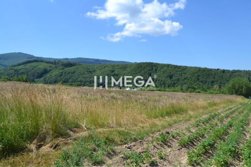 A plot in Zemplínske Hámre, ideal for living, with a view of the hills.