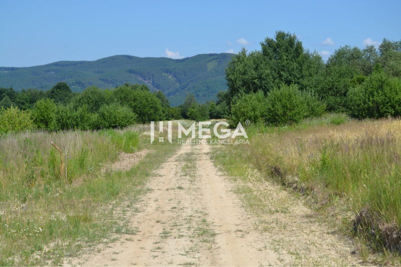 A country road surrounded by greenery in Zemplínske Hámre, suitable for plots - housing.