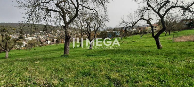 A view of the green meadow with trees and a view of Humenné from Brestovská Street.