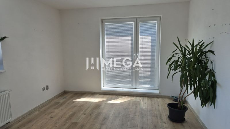 An office with a plant, a floor with a wooden decor, and balcony doors with blinds.