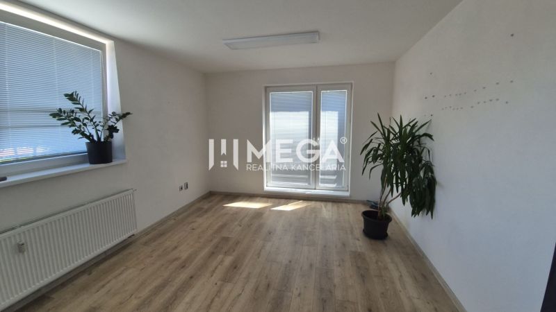 A bright office with two plants and a wooden-patterned floor.