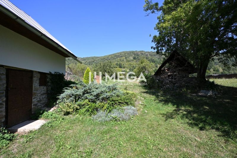 A garden at a family house in Kolbasov with lush vegetation and a view of the surrounding hills.