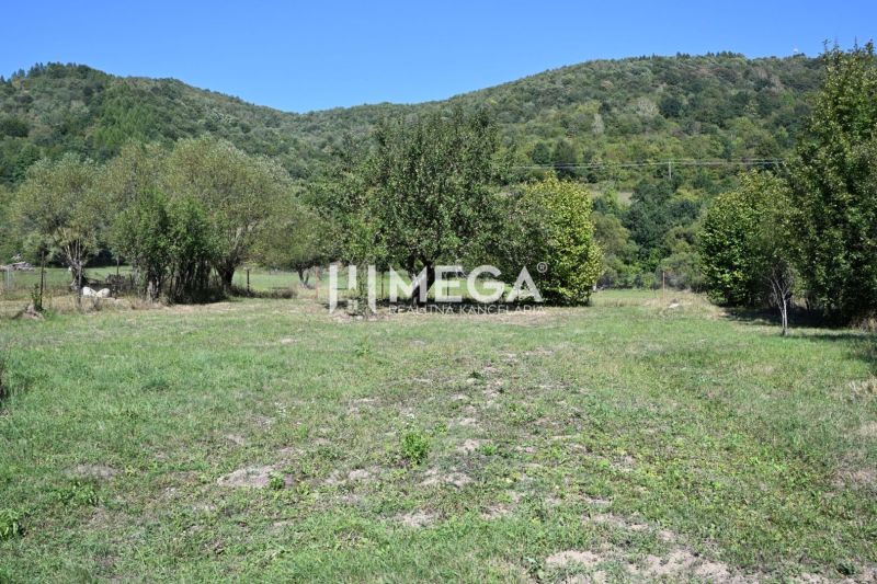 Grassy land with trees and hills in the background in Kolbasov on Kolbasov Street.