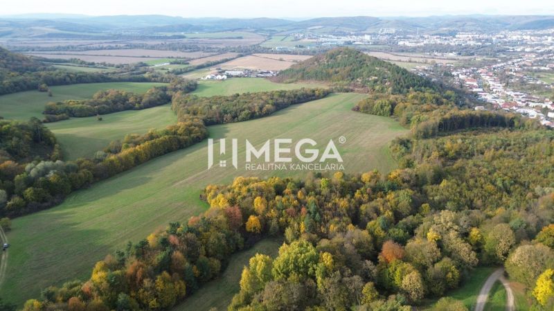 Aerial view of peculiar properties with forests and fields in Jasenov.