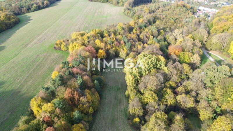 Autumn landscape in Jasenov on Jasenov Street, surrounded by forests and unique properties.
