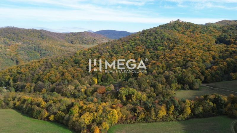 Aerial view of autumn forests around the Special Properties in Jasenov, Jasenov Street.