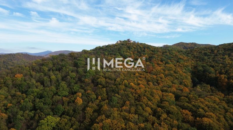 A view of the wooded hills and the ruins of a castle in Jasenov near the Special Properties.