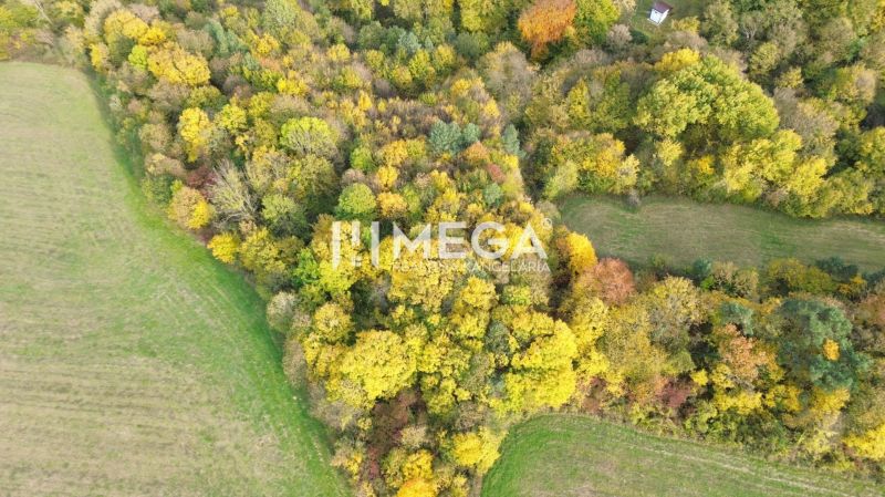 Aerial view of a colorful forest in Jasenov on Jasenov Street, Unusual Properties.