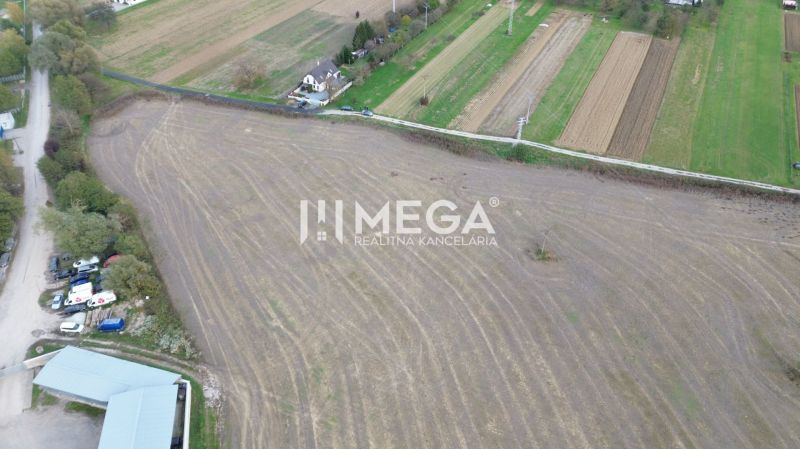 Field on Jasenov Street in the town of Jasenov from the category of special properties.