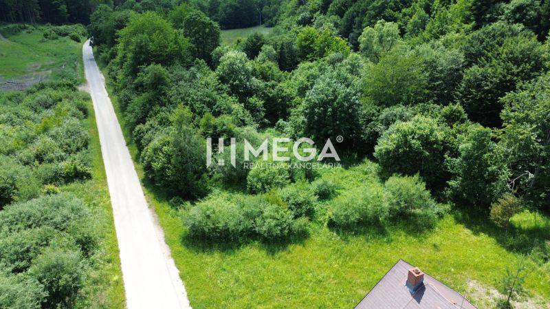 A path surrounded by greenery leads through the Pozemky - bývanie on Danova Street in Medzilaborce.
