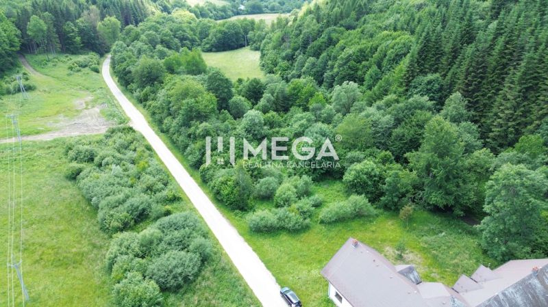 A road surrounded by greenery on Danova Street in Medzilaborce, Land - residential.