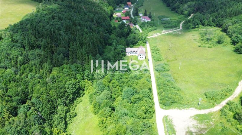 Aerial view of properties - housing surrounded by greenery in Medzilaborce on Danova Street.