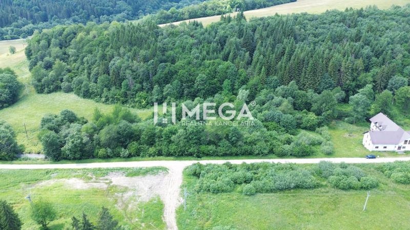 Meadows and forests near Danová Street, Medzilaborce, ideal for residential plots.
