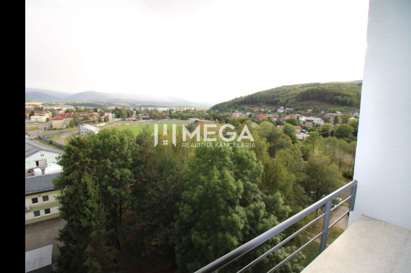 View from the balcony of the sports field with a wooded surrounding in Snina on Palárikova Street.