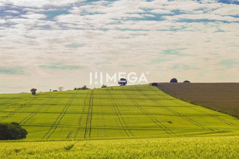 Vast green fields on commercial lands in Košice, location Košice IV.