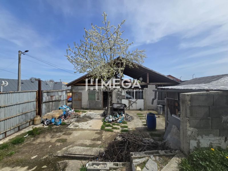 A family house on a street in Sokoľany with a yard and a blooming tree.