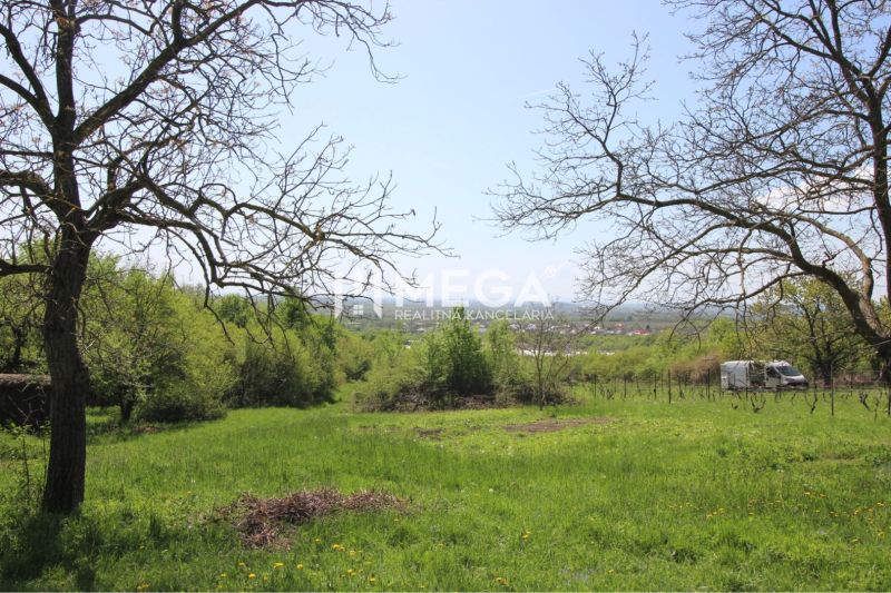 Gardens in Trnava pri Laborci with a view of greenery, meadows, and scattered trees.
