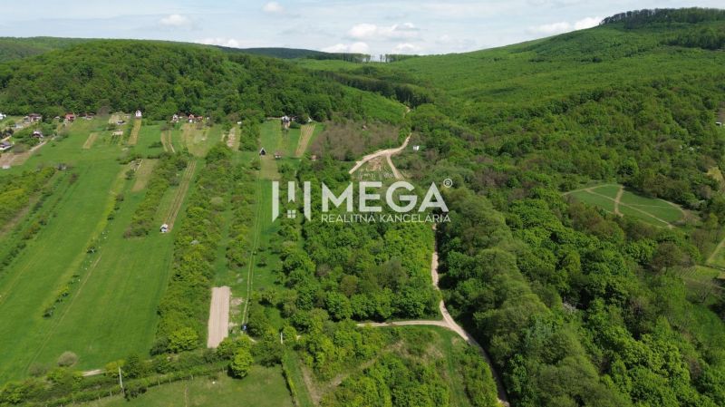 Gardens in Trnava pri Laborci surrounded by forests and fields offer a beautiful countryside view.
