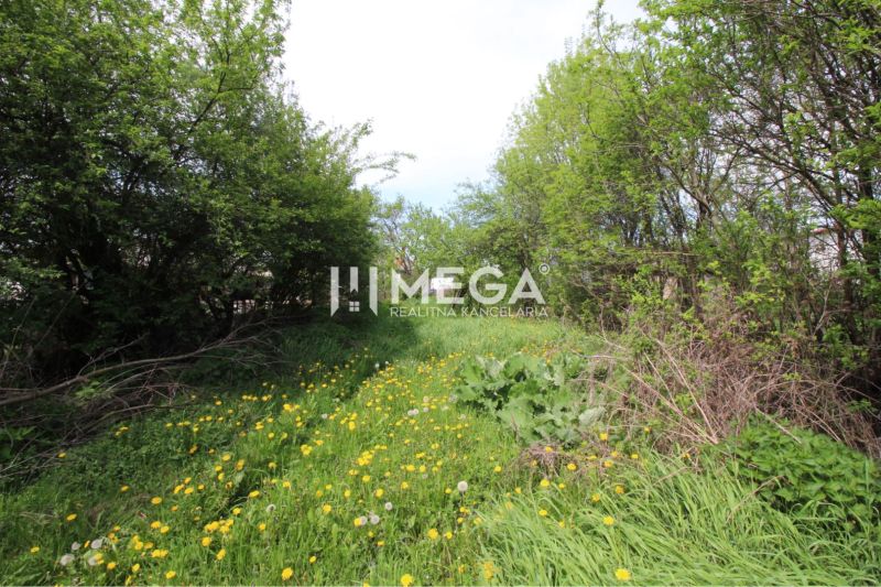 A plot of land covered with greenery and flowers in Senné, suitable for living.