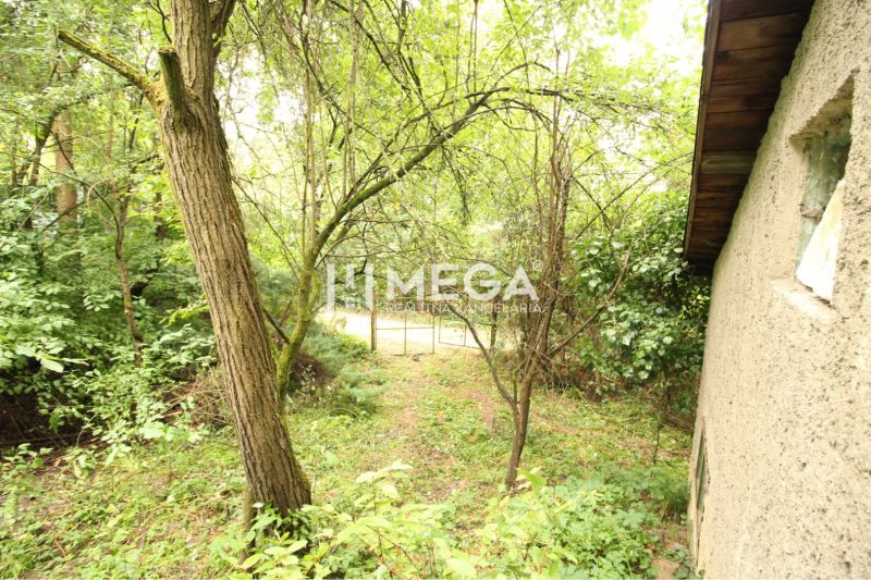 Greenery and trees in the area of Šípková, Košice IV, Residential plots, with a simple structure.
