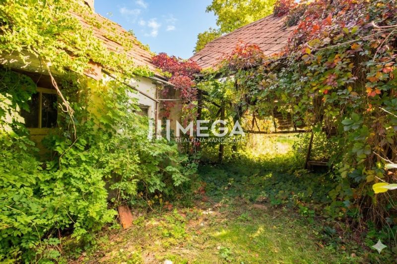 An overgrown family house in Petrovce with climbing plants and a brick roof.
