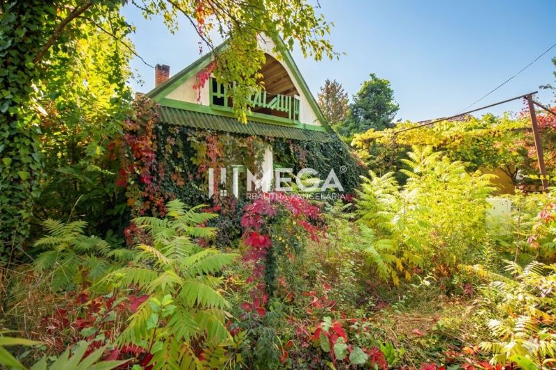 A family house in Petrovce surrounded by dense vegetation and climbing plants on the facade.