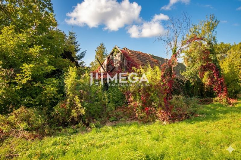 An overgrown family house in Petrovce with natural surroundings and a blue sky.