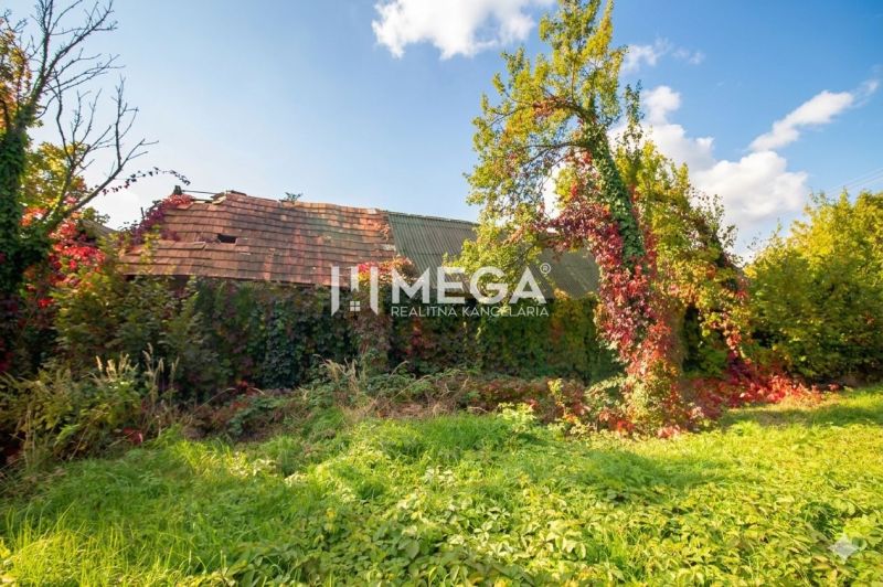 An overgrown family house in Petrovce surrounded by greenery and autumn colors.