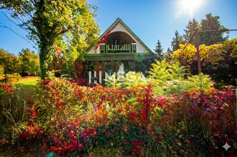 A family house in Petrovce surrounded by colorful autumn nature and greenery.