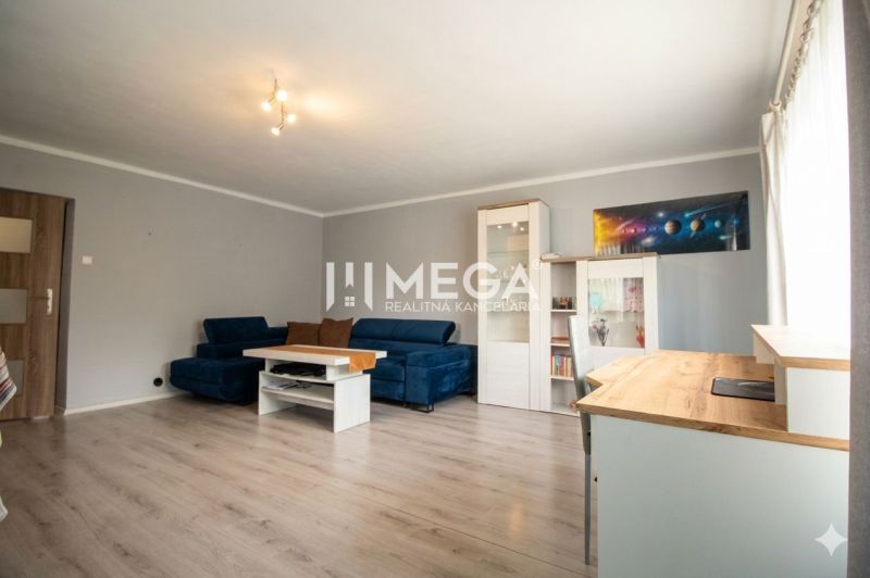 Living room in a family house with a blue sofa and a wooden decor floor.