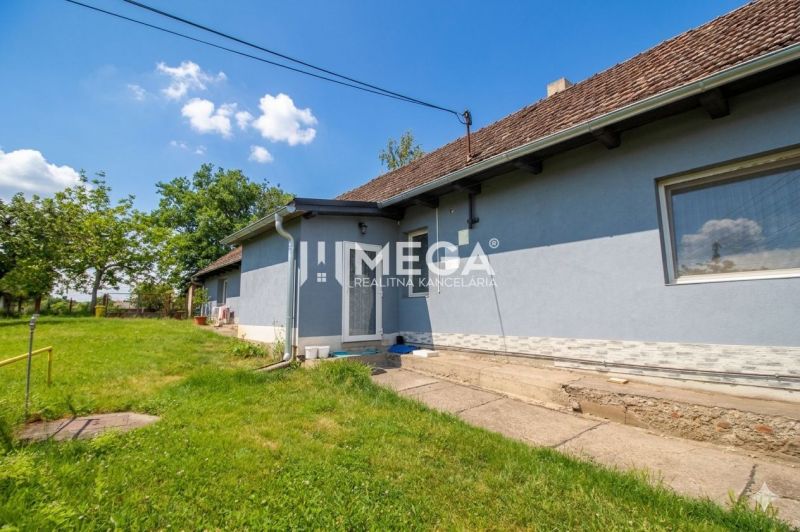 A family house in Veľká Ida with a blue facade, a garden, and a paved walkway.