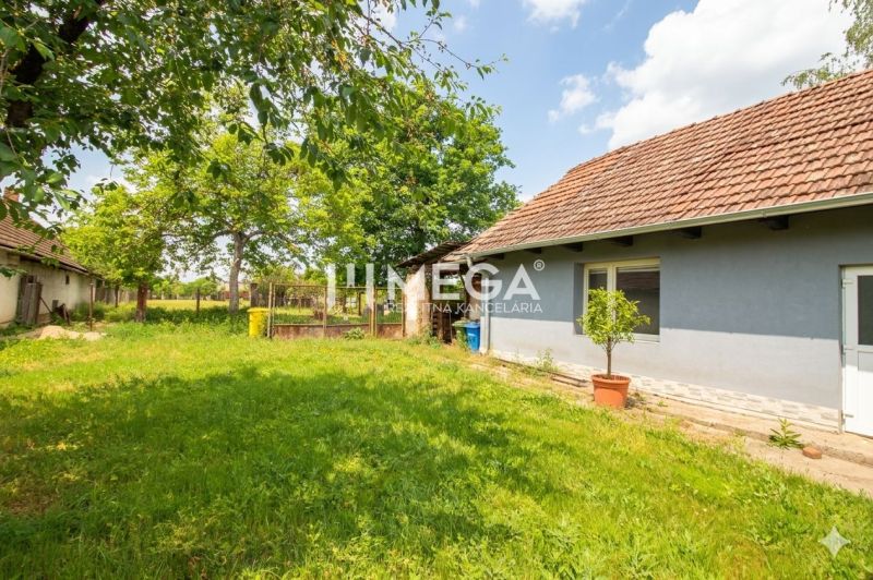 The exterior of a family house in Veľká Ida with a garden and lawn, surrounded by trees.