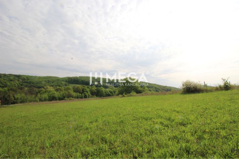 Plots - housing around Vyšný Kazimír, green meadow with forest background under a cloudy sky.
