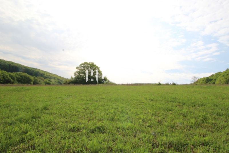 The greenery of the meadow and trees in the background, Vyšný Kazimír, land - residential.