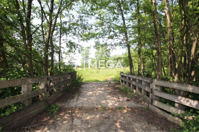 A forest path over a small bridge surrounded by greenery in Ptičí, Land - residential.