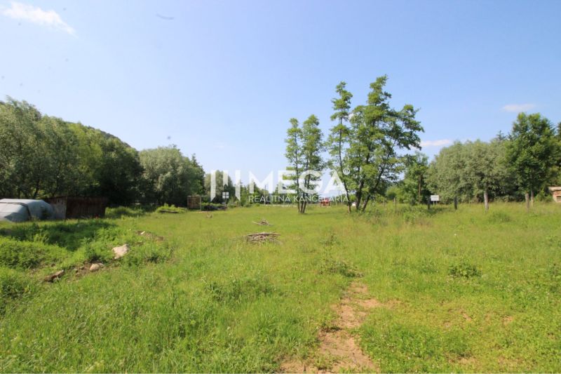 Greenery and trees on a plot in Ptičom suitable for living under the blue sky.